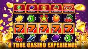 Komunitas pemain Bingo bolo77 Indonesia – strategi bermain multi-kartu dan tips menang dari pemain berpengalaman